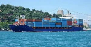 Українські сили потопили контейнеровоз Yanina «Росатома» в Чорному морі